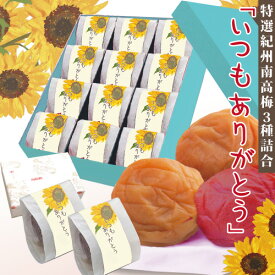 送料無料 お中元 ギフト 紀州 南高梅 詰合「いつもありがとう」期間限定 特選梅3種 特別詰 計12包白龍梅 和み梅 しそ漬梅 高級和紙包特選 極上 暑さ対策 和歌山 みなべ梅干 梅 うめ自家梅園産 先様の 健康 を願ってランキング1位♪