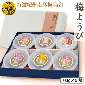 送料無料 ギフト 梅ようび 特選 紀州 南高梅 6種 各100g 詰合せ 自家梅園産 完熟南高梅 和歌山 みなべ 梅干し 梅 うめぼし セット お歳暮 お中元