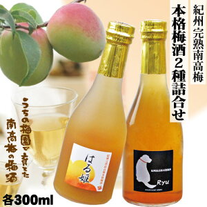  Mtg IB썂~ {i~ u Ryu v  ɂ~u ͂P v ݂ Zbg e300ml  a̎R ݂Ȃ Ɣ~Y N iti DGo܎ GIa̎R~ v[g ̓ 