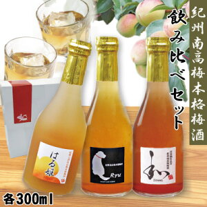  ̓ Mtg IB썂~ {dݔ~ ZIPANG {i~ Ryu ɂ~ ͂P ݂ Zbg e300ml  ݂Ȃ Ɣ~Y N iti DGo܎ GIa̎R~  h
