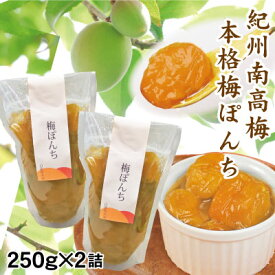 送料無料 紀州南高梅 みなべ産 梅ぽんち 250g×2袋 簡易包装 南高梅 の コンポート 自家農園産 和歌山 みなべ 添加物不使用 メール便 ゆうパケット 同梱不可 日時指定不可