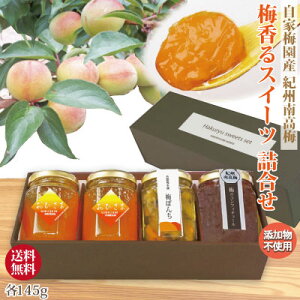  hV Mtg IB썂~XC[c Mtg Ђܔ~ 2E~ۂ ~̃RtB`[ e145g v4 ϔl n~W IB썂~ R|[g n~ IB 썂~ Y