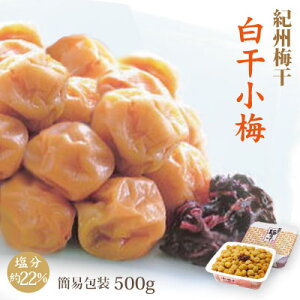 IB ~ ~ 500g ȈՕ 22  a̎R ݂Ȃ Ɣ~Y ~ ۑH MǑ΍