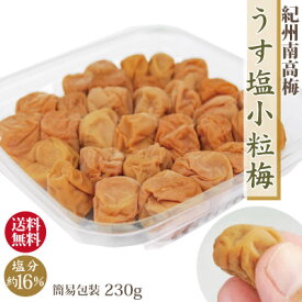 送料無料 紀州 南高梅 うす塩小粒梅 230g 簡易包装 塩分約16% 甘くなく 梅とお塩の素朴な梅干 同梱不可 日時指定不可 ゆうパケット便