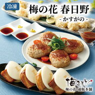 春日野-かすがの-≪冷凍≫ お中元 ギフト 食べ物 贈り物 【楽ギフ_のし】【楽ギフ_のし宛書】【楽ギフ_メ…
