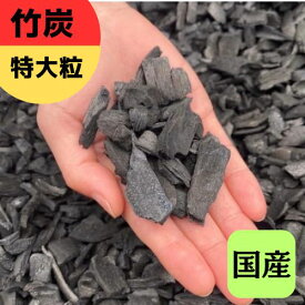 【ポーラス竹炭】特大粒サイズ オリジナルブランド 竹炭 竹炭の力 炭のある暮らし ポーラス竹炭 菌ちゃん農法 園芸 土壌改良 調湿効果 消臭効果 農業 炭の恵み 1.5L 6L 9L 30L 72L