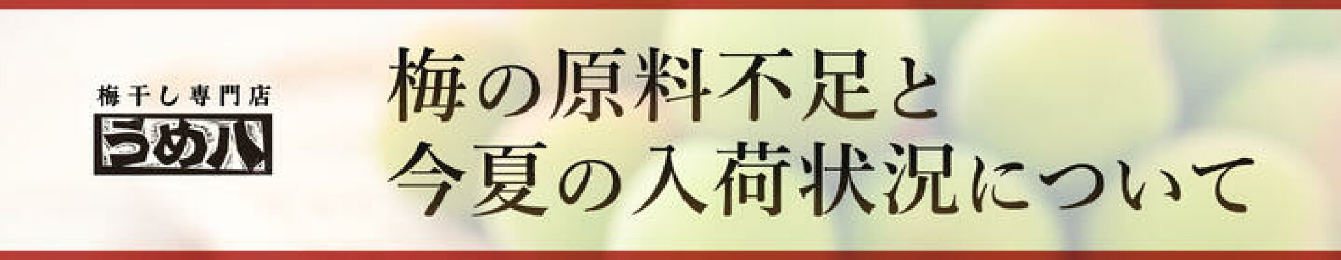 2026年夏の入荷状況について
