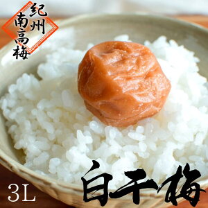 Y IB썂~ ~y~_ƌI@Â~z3L 썂~ ̂Ȃ̔~ ς~  Y~  3LTCY 500g 1000g Yn Ε  Mtg蕨 