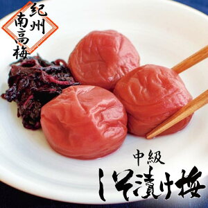 y Ђ~z~ 썂~ IB썂~ ~ ~ ~ ƒp i Bi Д~ _Ǝ  Yn _ Ε  Mtg蕨 NMtg Ή ̂Ή 