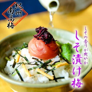 yI Ђ~z~ 썂~ IB썂~ h~ ~ ~  Д~ _Ǝ  Yn Ε  Mtg蕨 NMtg Ή ̂Ή hV̓ ̓ 