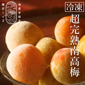 【冷凍】超完熟南高梅 1kg,2kg,5kg, by 梅ボーイズ 生梅 送料無料 【超完熟南高梅 紀州産（和歌山県、三重県） 紀州南高梅 南高梅 無添加 梅ジュース 冷凍】