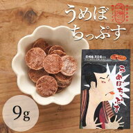 【無添加 梅干し】うめぼちっぷす 天然塩だけで漬けた梅干し 紀州南高梅 9g 完熟南高梅 ミネラル豊かな天…