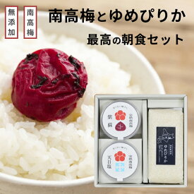 無添加 梅干し天然塩だけで漬けた甘くない梅干しとお米のギフトセット 紀州南高梅 by 梅ボーイズ お歳暮 早割 自然塩 赤紫蘇 着色料不使用 ゆめぴりか 紀州産（和歌山県産、三重県） 国産 送料無料 天日塩 昔ながらのすっぱい梅干し クエン酸