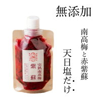 無添加 天然塩と紫蘇だけで漬けた梅干しチューブ（塩分15%）140g by 梅ボーイズ 紀州南高梅とミネラル豊…