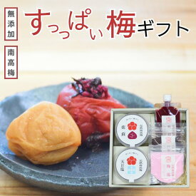 無添加 天然塩で漬けた甘くない昔ながらのすっぱい梅干し詰合せギフト by 梅ボーイズ / 自然塩 天日塩 紀州南高梅 梅干しチューブ 赤紫蘇 着色料不使用 梅塩 紫蘇ふりかけ 紀州産（和歌山県、三重県）国産 送料無料【うめぼし ウメ クエン酸 】