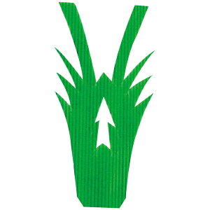 o@CV^2@BF@1000Ed؂AMUMUAԁEAtCAbsOApbP[WA