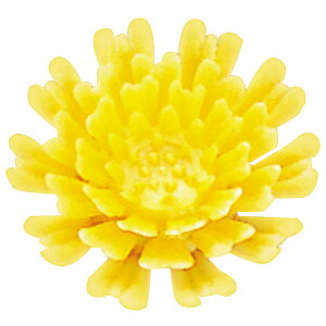 VeDY@200Ed؂AMUMUAԁEAtCAbsOApbP[WA