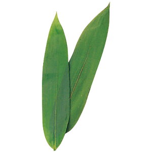 ���p���̗t�@���Ȃ��@100�����@�E�d�؂�A�M�U�M�U�A���ԁE����A�����t�C�����A���b�s���O�A�p�b�P�[�W�A���