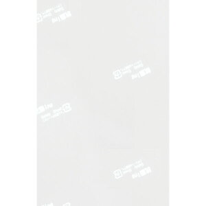 Ring@Z[teBV[g@17×11cm@100EٓA|A~AaHA~Aaَq