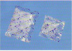 �V���J�Q��SA�|10g�@�����܁@1200����(1�P�[�X�j