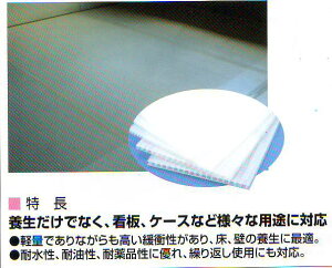 vX`bNi{[V[g(2D5mmj20|v_V[g@~i_@{V[g@{pl