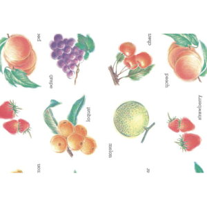 @KS@930@y[@Fi100j@EXܗpi