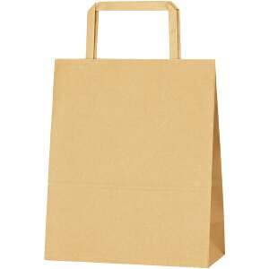 H25CB 20−1 未晒無地【キーワード】手提げ紙袋、店舗用品