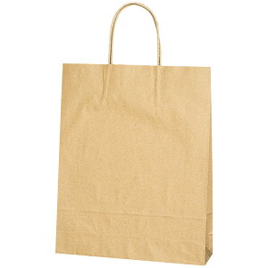 25CB MS1 未晒無地【キーワード】手提げ紙袋、店舗用品