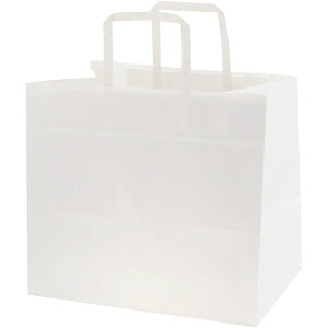 NtbgCB@300|1@NnyL[[hz񂰎܁AXܗpi