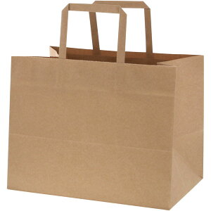 NフラットCB 280−1 未晒無地【キーワード】手提げ紙袋、店舗用品