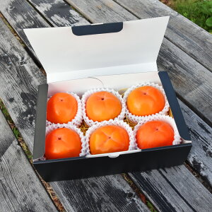 q@Â݂炸`1.8kg6iMtg{bNXj