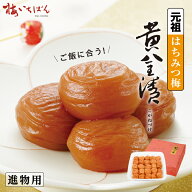 【紀州南高梅A級使用】元祖はちみつ梅干 黄金漬 500g サイズ2～3L ご進物用｜果肉たっぷり＆まろやか甘味…