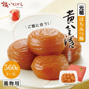 yIB썂~Agpzc݂͂~  560g TCY2`3L ipbʓՂ聕܂₩Öb80g`1.5kg S7b10 Y~
