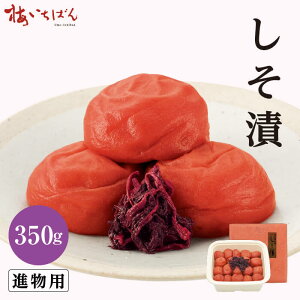 yIB썂~Agpz 350g TCY2L ipb̂Ȃ̍LȂ~b200g`560g S3b12 Y~