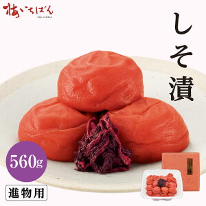 yIB썂~Agpz 560g TCY2L ipb̂Ȃ̍LȂ~b200g`560g S3b12 Y~