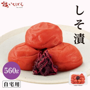 yIB썂~Agpz 560g TCY2L pb̂Ȃ̍LȂ~b80g`560g S4b12 Y~