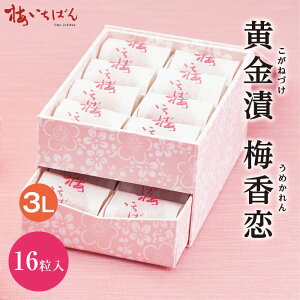 yIB썂~gpz~  16E30 Mtgb ݂͂~bi aܓ