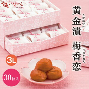 yIB썂~gpz~  16E30 Mtgb ݂͂~bi aܓ