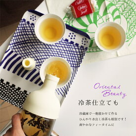 HARIO （ ハリオ　）フィルターインボトル 茶こし付きの水出し冷茶ボトル ガラス製 750ml