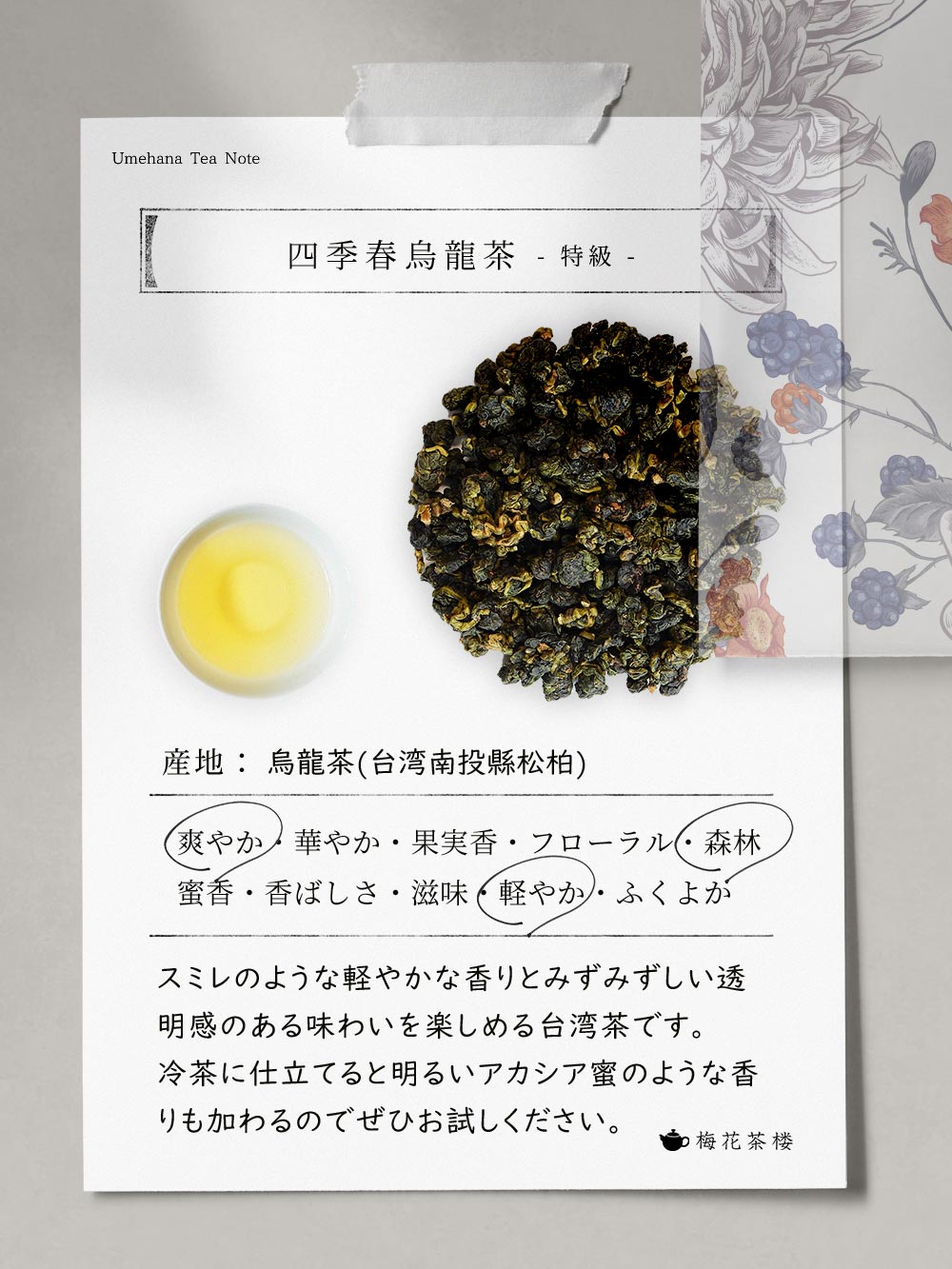 楽天市場】【2024年冬茶入荷！】【お徳用】台湾茶 四季春烏龍茶