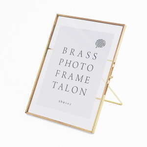 AeB[N KXƐ^J̃tHgt[ ʐ^āiSEMELTCYj3TCY