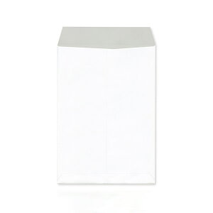  p6 p`6 J[ pXeO[ pXeu[ ȂzCg 100