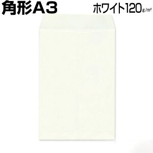 ^ A3 p`A3 04 zCg/ 120g A3TCY傫AA3p/tC/}//ŉ ꓙɍœKł