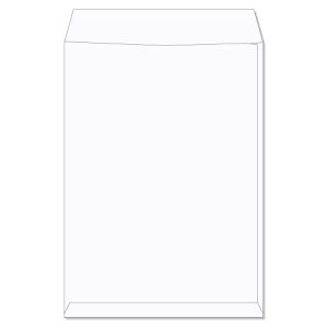 p2yȂPg v~Az100g/R\/TCYW240×H332 (mm)/X֔ԍgȂ/100pbN