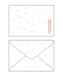 洋2 封筒 大礼紙 和紙 サイズ114×162mm 100枚