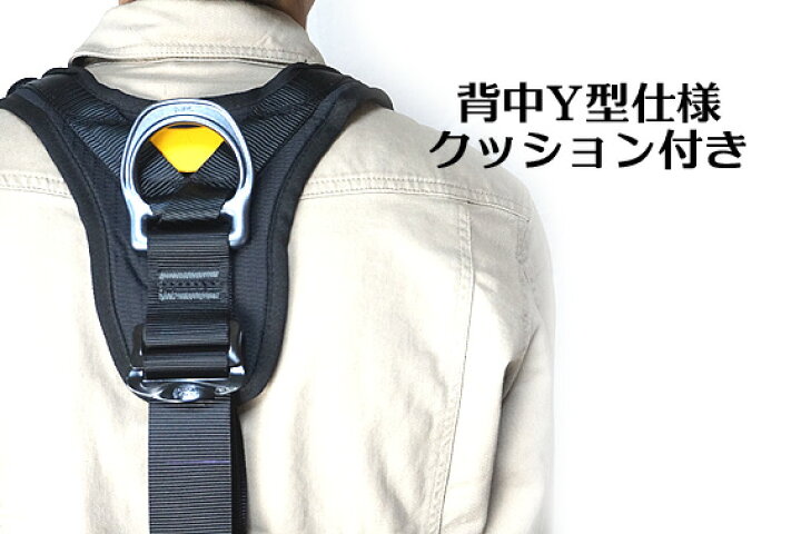 楽天市場】即納可能【 PETZL ペツル】 アバオボッド ファスト（欧州 
