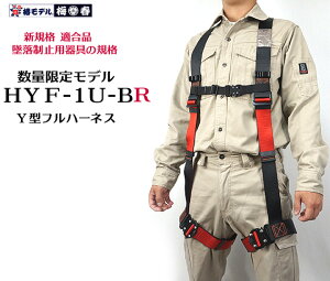 tn[lX߁yWM 10 ZbgzVKi y Y^ ^b`zփf HYF1U BR ubNxbh P ~tIWi S tn[lX ė~p tn[lX