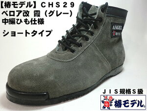 y փf zCHS29 y xA zҏ ~hJbg pSC O[yJISKi ANGELziG[SCj