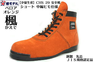 y փf zCHS29 y ŃxA zҏ ~hJbg pSC IWyJISKi ANGELziG[SCj