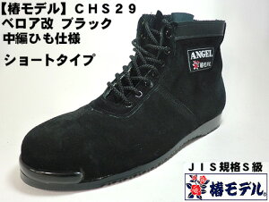 y փf zCHS29 yxA zҏ ~hJbg pSC ubNyJISKi ANGELziG[SCj